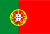 Translation in Portuguese